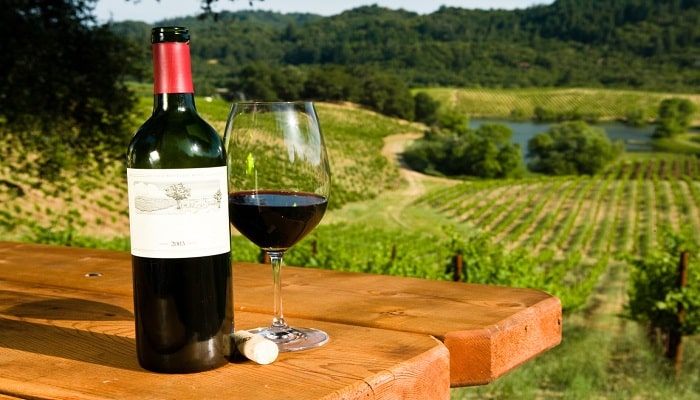 The 7 Best Wine Regions Of Latin America