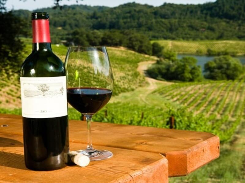 Image of The 7 Best Wine Regions Of Latin America article