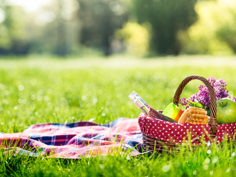 Image of The best: 4 Latin Picnic Ideas article