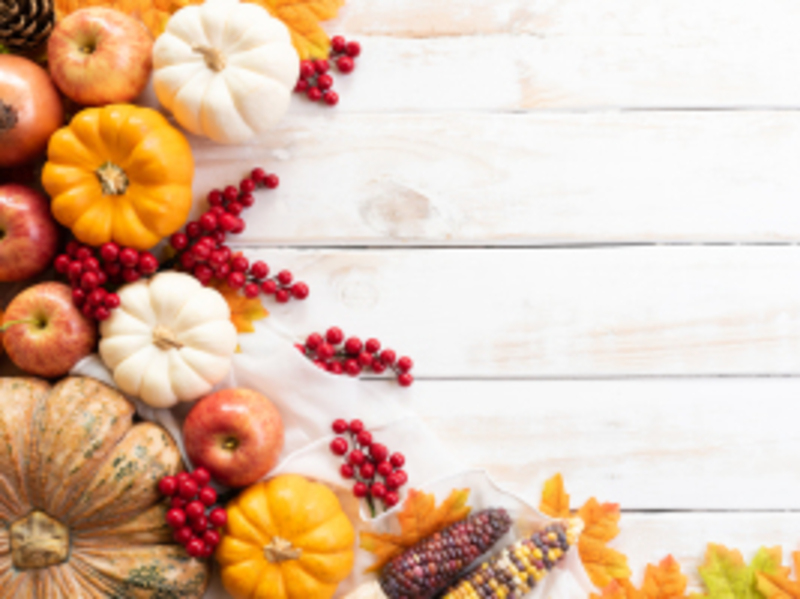 Image of Surprise Your Guests with These Thanksgiving Ideas article